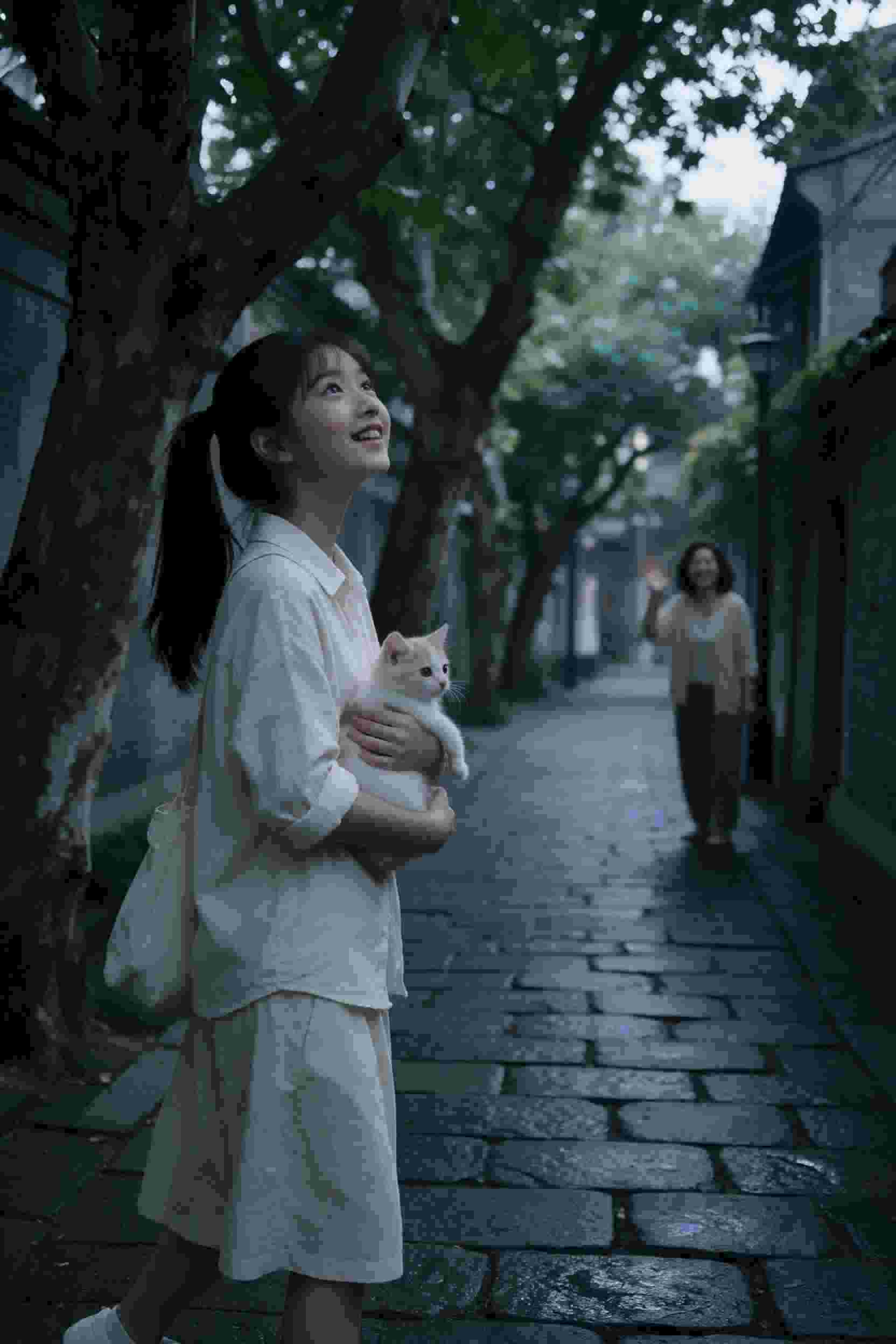 破案高手